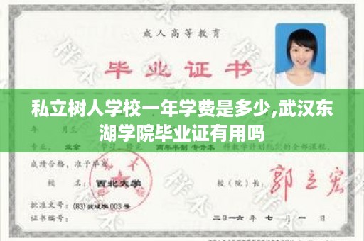 私立树人学校一年学费是多少,武汉东湖学院毕业证有用吗