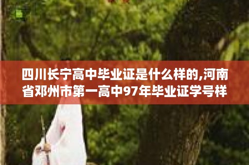 四川长宁高中毕业证是什么样的,河南省邓州市第一高中97年毕业证学号样本