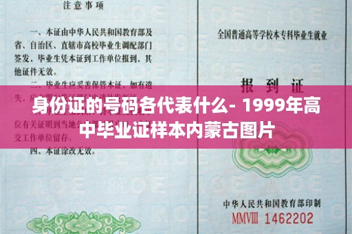 身份证的号码各代表什么- 1999年高中毕业证样本内蒙古图片