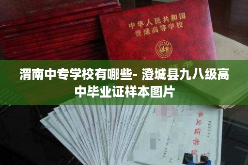 渭南中专学校有哪些- 澄城县九八级高中毕业证样本图片
