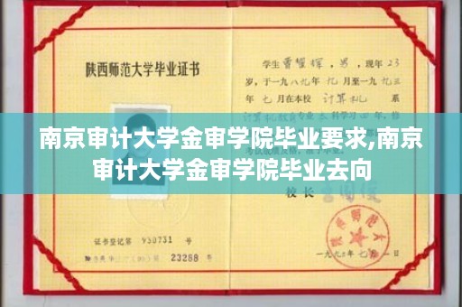 南京审计大学金审学院毕业要求,南京审计大学金审学院毕业去向
