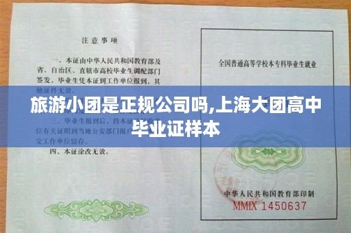 旅游小团是正规公司吗,上海大团高中毕业证样本