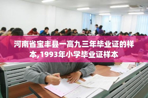 河南省宝丰县一高九三年毕业证的样本,1993年小学毕业证样本