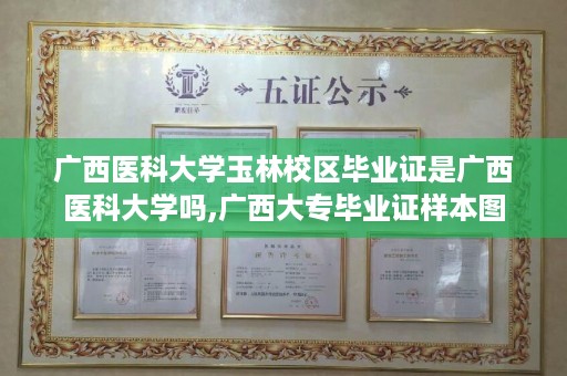 广西医科大学玉林校区毕业证是广西医科大学吗,广西大专毕业证样本图