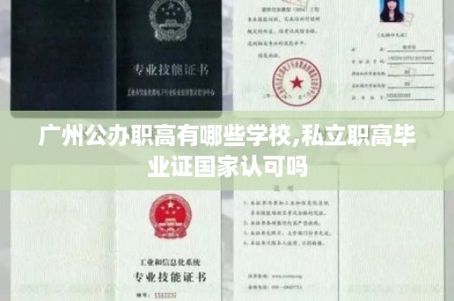 广州公办职高有哪些学校,私立职高毕业证国家认可吗