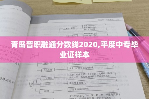 青岛普职融通分数线2020,平度中专毕业证样本