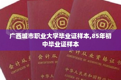 广西城市职业大学毕业证样本,85年初中毕业证样本