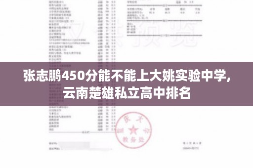张志鹏450分能不能上大姚实验中学,云南楚雄私立高中排名