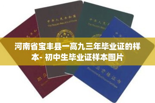 河南省宝丰县一高九三年毕业证的样本- 初中生毕业证样本图片