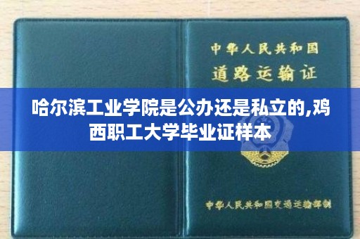 哈尔滨工业学院是公办还是私立的,鸡西职工大学毕业证样本