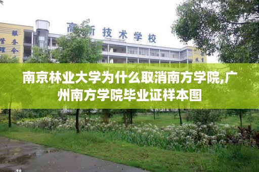 南京林业大学为什么取消南方学院,广州南方学院毕业证样本图