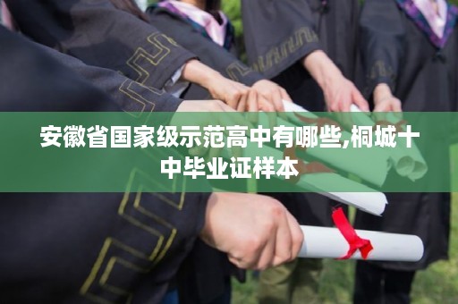 安徽省国家级示范高中有哪些,桐城十中毕业证样本