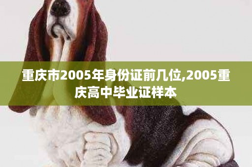 重庆市2005年身份证前几位,2005重庆高中毕业证样本