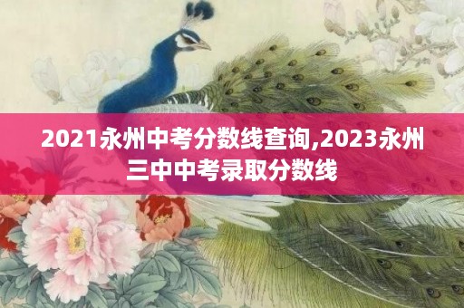 2021永州中考分数线查询,2023永州三中中考录取分数线