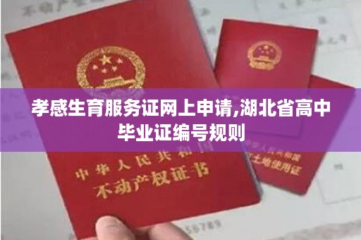 孝感生育服务证网上申请,湖北省高中毕业证编号规则