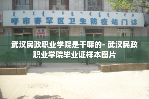 武汉民政职业学院是干嘛的- 武汉民政职业学院毕业证样本图片