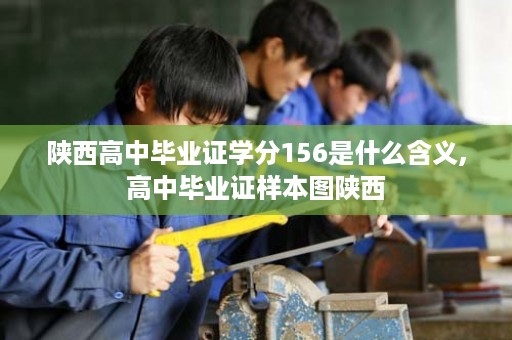 陕西高中毕业证学分156是什么含义,高中毕业证样本图陕西