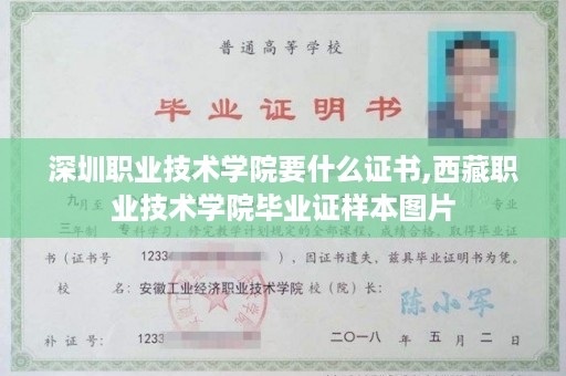 深圳职业技术学院要什么证书,西藏职业技术学院毕业证样本图片