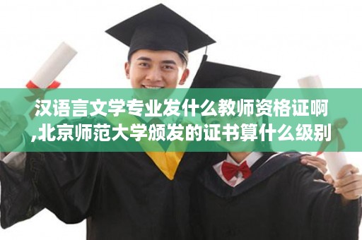汉语言文学专业发什么教师资格证啊,北京师范大学颁发的证书算什么级别