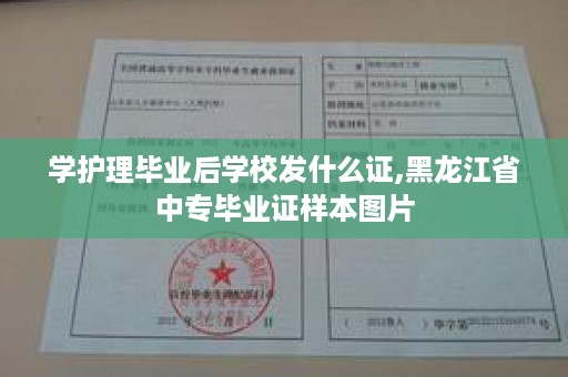 学护理毕业后学校发什么证,黑龙江省中专毕业证样本图片