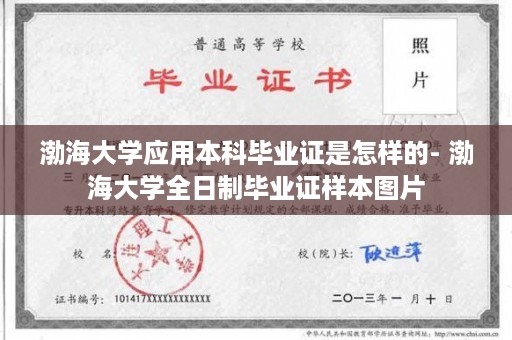 渤海大学应用本科毕业证是怎样的- 渤海大学全日制毕业证样本图片
