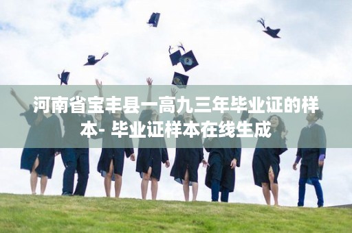 河南省宝丰县一高九三年毕业证的样本- 毕业证样本在线生成