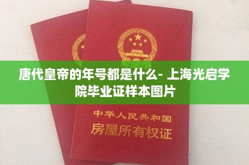 唐代皇帝的年号都是什么- 上海光启学院毕业证样本图片