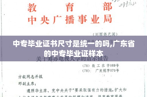 中专毕业证书尺寸是统一的吗,广东省的中专毕业证样本