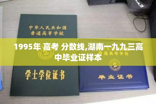 1995年 高考 分数线,湖南一九九三高中毕业证样本