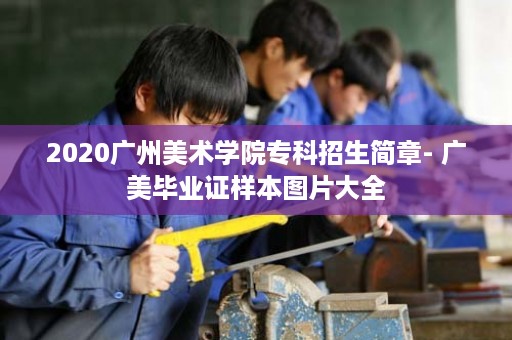 2020广州美术学院专科招生简章- 广美毕业证样本图片大全