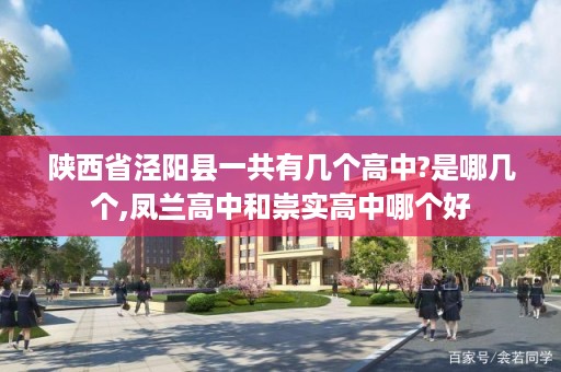 陕西省泾阳县一共有几个高中?是哪几个,凤兰高中和崇实高中哪个好