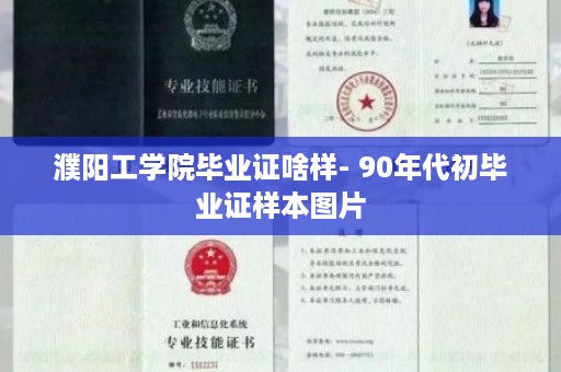 濮阳工学院毕业证啥样- 90年代初毕业证样本图片