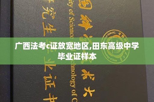 广西法考c证放宽地区,田东高级中学毕业证样本