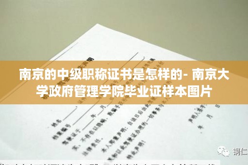 南京的中级职称证书是怎样的- 南京大学政府管理学院毕业证样本图片