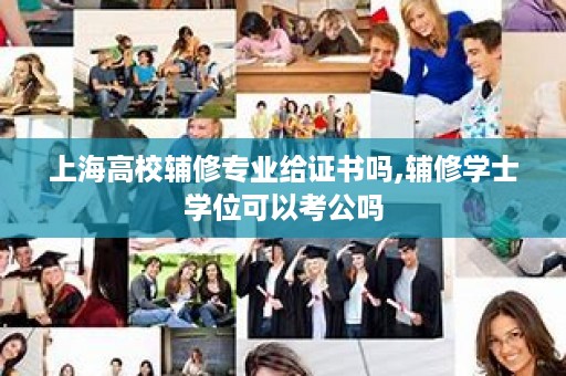 上海高校辅修专业给证书吗,辅修学士学位可以考公吗