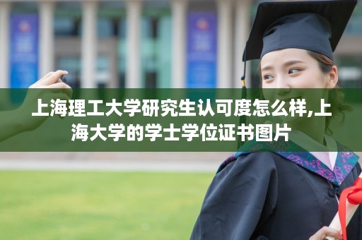 上海理工大学研究生认可度怎么样,上海大学的学士学位证书图片