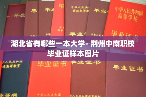 湖北省有哪些一本大学- 荆州中南职校毕业证样本图片