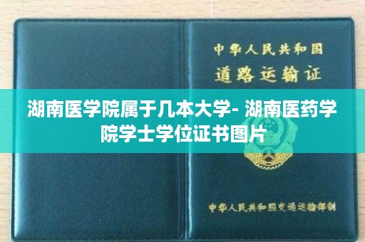 湖南医学院属于几本大学- 湖南医药学院学士学位证书图片