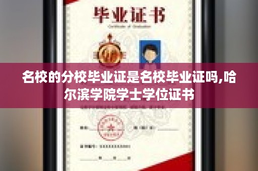 名校的分校毕业证是名校毕业证吗,哈尔滨学院学士学位证书