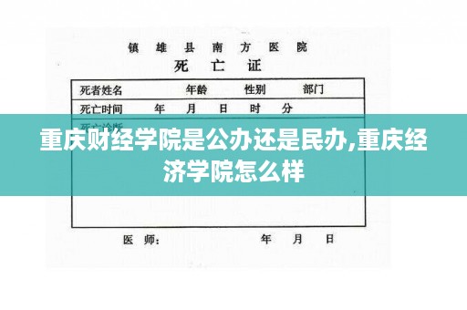 重庆财经学院是公办还是民办,重庆经济学院怎么样