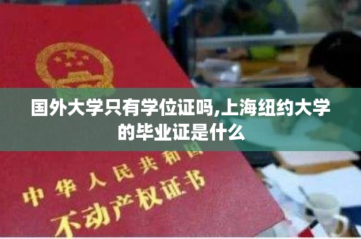 国外大学只有学位证吗,上海纽约大学的毕业证是什么