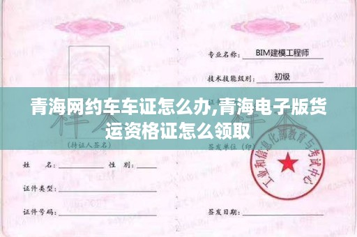 青海网约车车证怎么办,青海电子版货运资格证怎么领取