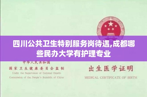 四川公共卫生特别服务岗待遇,成都哪些民办大学有护理专业