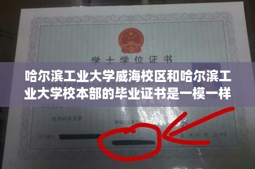 哈尔滨工业大学威海校区和哈尔滨工业大学校本部的毕业证书是一模一样的吗- 北京工业大学学士学位证书样本
