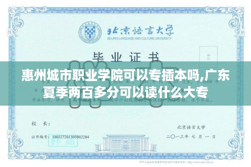 惠州城市职业学院可以专插本吗,广东夏季两百多分可以读什么大专