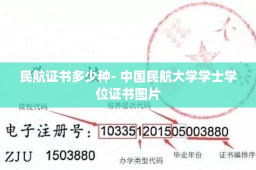 民航证书多少种- 中国民航大学学士学位证书图片