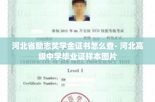 河北省励志奖学金证书怎么查- 河北高级中学毕业证样本图片