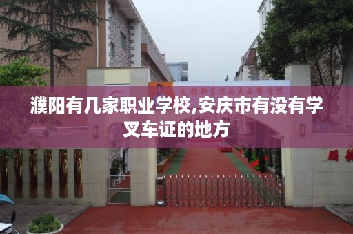 濮阳有几家职业学校,安庆市有没有学叉车证的地方