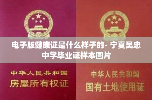电子版健康证是什么样子的- 宁夏吴忠中学毕业证样本图片