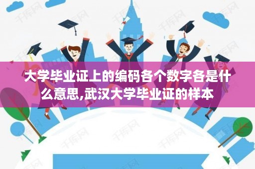 大学毕业证上的编码各个数字各是什么意思,武汉大学毕业证的样本